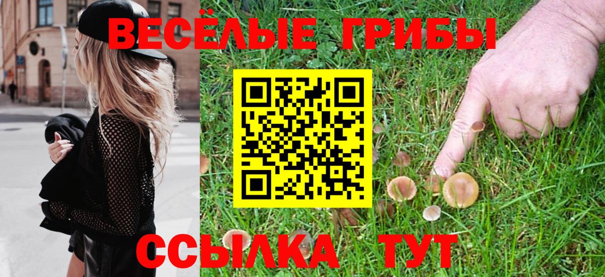 Галлюциногенные грибы GOLDEN TEACHER Ессентуки